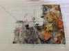 IMG_7004.jpeg