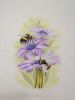 PXL_20240904_185509899_exported_929_1725476130731.thumb.jpg.a7cbab01b46f593c5085bee01cfee227.jpg