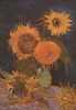Van_Gogh_Vase_with_Six_Sunflowers.thumb.jpg.21e12b23ebf3ced9926b1da084f27488.jpg