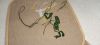 after-small.thumb.jpg.72facdec54a31513b5dbe7a4c8ed40a8.jpg