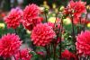 shutterstock_1160360878-pic_32ratio_900x600-900x600-72894.jpg