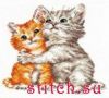 16575.thumb.jpg.753ef3024891bd72bd470953feba94c8.jpg