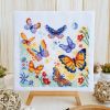 1752433462_Butterflyfield2N_213.thumb.jpg.e4b2bffd0ecfdf81ff27b5ab993afbed.jpg