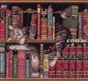 Dimensions 35048, Фредерик-литератор (Образованный Фредерик, Frederick the Literate)