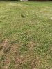 20240629_103243.thumb.jpg.b23f92a1cc0251a0a0ac9300178b9514.jpg?1729615736114