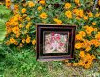 20240817_163009.thumb.jpg.9ac50b6f6acd593f357bd2fddaf1971f.jpg?1729628385638