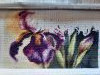 20241001_094320.thumb.jpg.2a86dfd2a3f52d34cbdb3d1d72e2a7a0.jpg?1728471029957