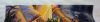20241004_201445.thumb.jpg.3fcf18945c5bac6eaacb9c816a1d173b.jpg