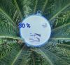 20241009_174725.thumb.jpg.343cd9df103f1087b1141c384c800474.jpg