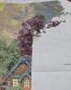 20241011_061844.thumb.jpg.8bb7b0c7b8d0056da288f02f5d169376.jpg