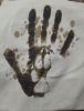 20241015_224709.thumb.jpg.49556f6733dceb844966ddd789b201f9.jpg