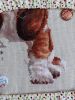 3.thumb.JPG.0210ce68f8d389a1898c4c1e028417ce.JPG