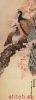 37899.thumb.jpg.20dcd5970be41383de1ac6c8118efa31.jpg