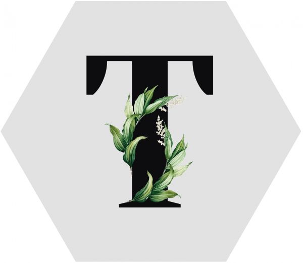 Аватар Тай Тари