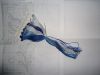DSC08373.thumb.JPG.d2f0267c2aeb899a08c3607f2faef841.JPG