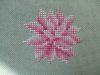 DSCF9020.thumb.JPG.cfb6d5a63dfe58954842ab0d0d7f769c.JPG