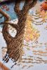 DSC_3413.thumb.JPG.3ba50ea760eb16e58332513fcbb7f1d2.JPG