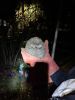 IMG-20240929-WA0002.thumb.jpg.eb96e30db0de7d70b9a487f5a1c4cebd.jpg