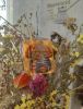IMG20241004071645.thumb.jpg.8b68dbf3ce131661d2ad0be62cb03b9a.jpg