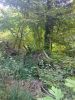 IMG20241023102945.thumb.jpg.714a9d8a48437fcd24db9b6d4d3f1411.jpg