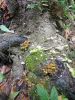 IMG20241023105340.thumb.jpg.6b8af69b807c729ae47065a08e3fe407.jpg