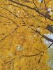 IMG20241024122623.thumb.jpg.90569ad0b07bf590a177d86989551171.jpg