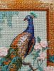 IMG_0068.jpeg
