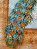 IMG_0070.jpeg