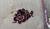 IMG_0148.thumb.jpeg.32cd1a77d5e8fb3846fa8143a7dd97e8.jpeg