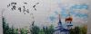 IMG_0152.thumb.jpeg.6c270e872caeacc4f2b62544cfabab2f.jpeg