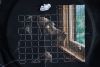 IMG_0279.jpeg