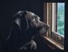 IMG_0280.jpeg