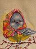 IMG_0327.jpeg
