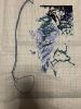 IMG_0346.jpeg