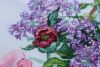 IMG_0375.jpeg