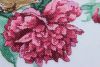 IMG_0378.jpeg