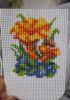 IMG_0507.thumb.jpeg.7fb1eb688c8bdcae0132c2f4cbee0da3.jpeg