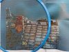 IMG_0552.jpeg