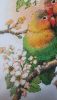 IMG_0583.jpeg