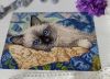 IMG_0644.thumb.jpeg.a78b0812afffed3ce8f3668e29fa205f.jpeg
