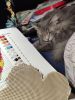 IMG_20240831_210005.thumb.jpg.f17d6b05be92155b592abcc899ff00dd.jpg