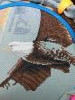 IMG_20241001_092315.thumb.jpg.1c32149bbc2ce7345a9da69eddc17a76.jpg?1728318917592