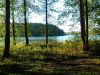 IMG_20241011_162151.thumb.jpg.b86c9a115be9cb020b8fa1cddacf97ad.jpg