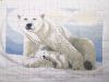 IMG_20241025_004216.thumb.jpg.849db6fb754b8d03b5faf9eb3047ed70.jpg