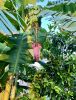 IMG_2462.thumb.jpeg.69eeda361053bd31e1b71713d85b4f6e.jpeg