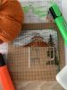 IMG_4432.jpeg