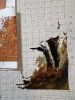 IMG_6234.jpeg