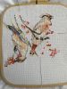 IMG_6240.jpeg.dfc19a672c7bebf3fdd3b82affcf5332.thumb.jpeg.53f86c498c6d2de012666c187ddc932e.jpeg