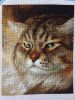 IMG_8019.thumb.JPG.c7376fd635edd1980bb586b8950bcc4c.JPG