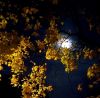 QJc5MLDRKaQ.thumb.jpg.e63704f1268ff68e282914127e7abbd0.jpg